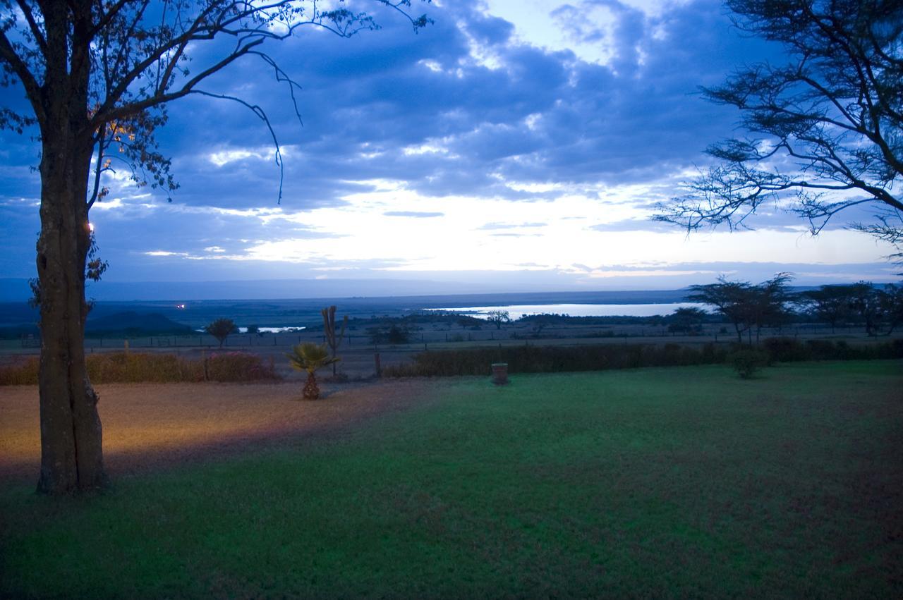 Jacaranda Lake Elementaita Lodge Gilgil المظهر الخارجي الصورة